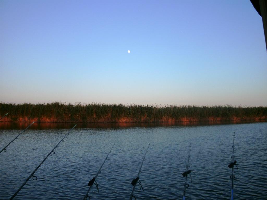 Luna plina - gedc03041.JPG